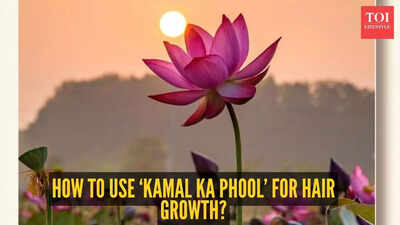 How to use the lotus flower for hair growth.jpg