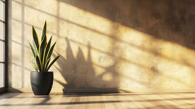 Indoor plants for sinus relief how greenery improves air quality and eases congestion.jpg