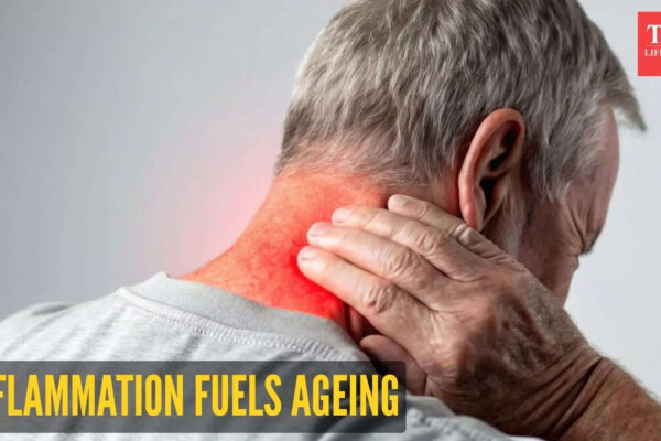 Msid 125083124imgsize 84230.cms .jpeg