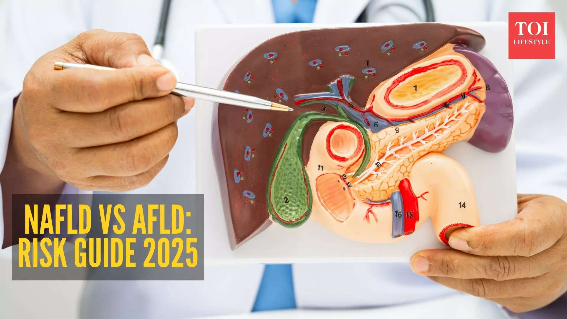 Msid 125315710imgsize 101554.cms .jpeg