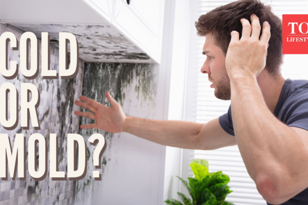 Msid 125349307imgsize 1507274.cms .png