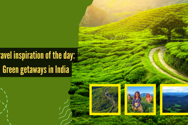 Msid 125479831imgsize 1421019.cms .png