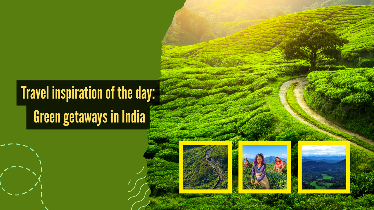 Msid 125479831imgsize 1421019.cms .png