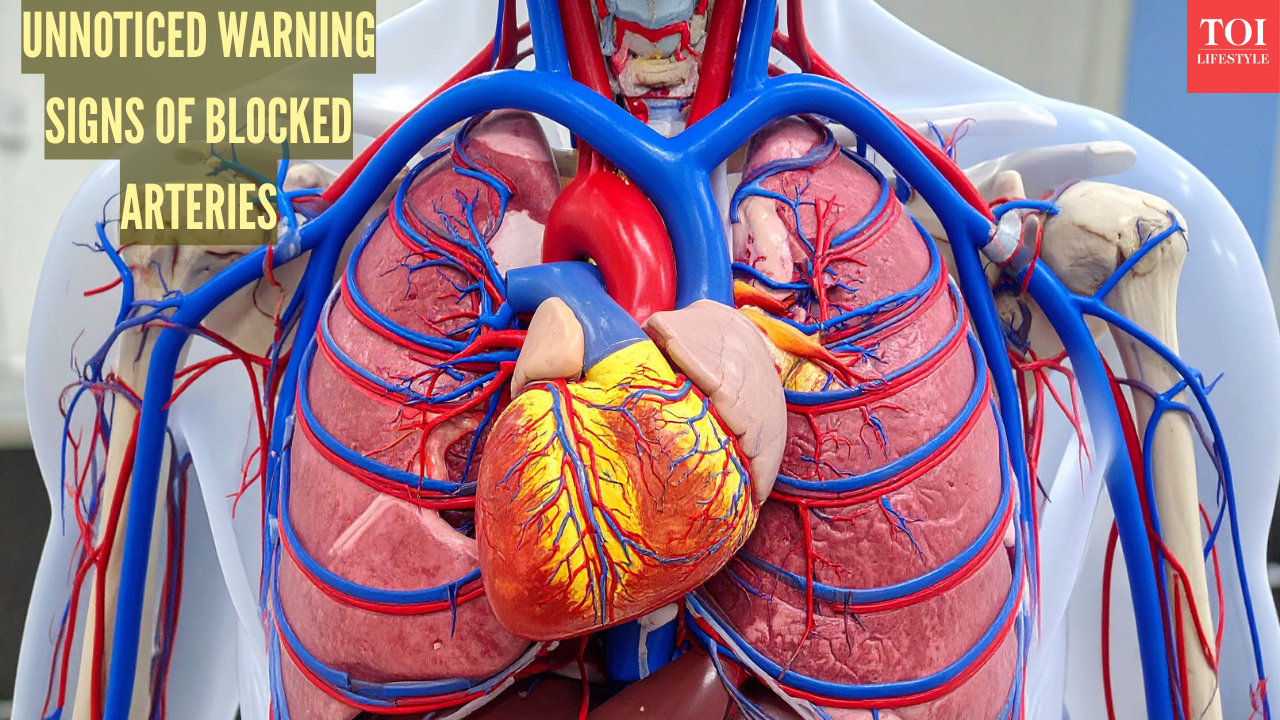 Msid 125480024imgsize 1567513.cms .png