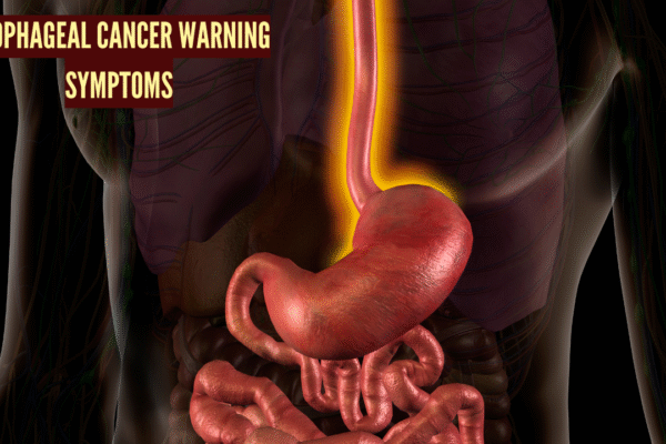 Msid 125581521imgsize 998148.cms .png