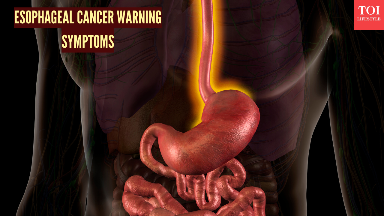 Msid 125581521imgsize 998148.cms .png