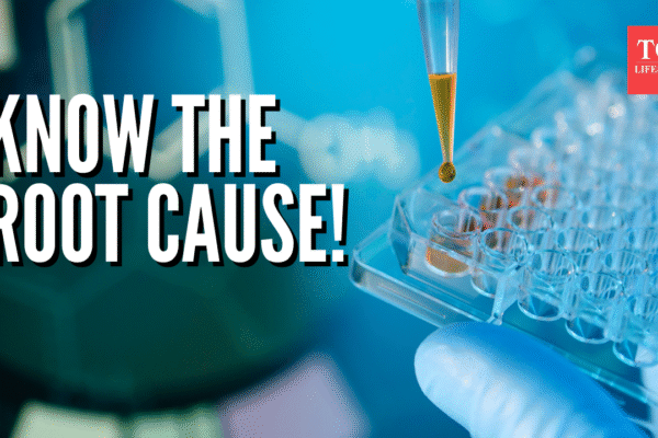 Msid 125673005imgsize 1552528.cms .png