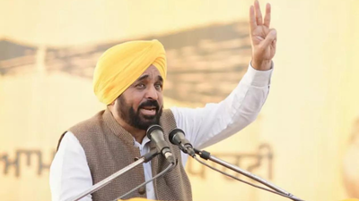 Punjab cm bhagwant mann.jpg