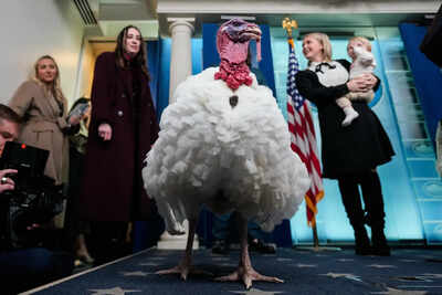 Trump spares turkeys but not his political opponents at annual pardoning ceremony.jpg