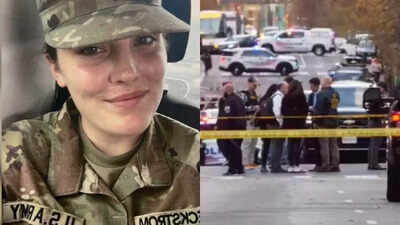 Untitled design 2025 11 28t052848654.jpg