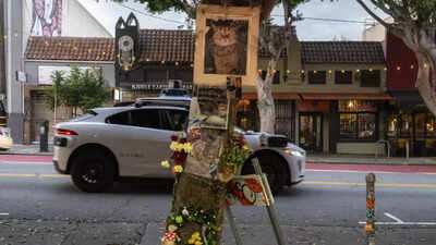 Waymo cat accident.jpg