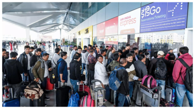 1765008077 indigo.jpg