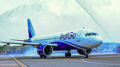 1765043394 indigo.jpg