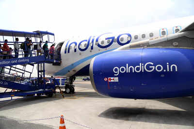 1765089628 indigo.jpg