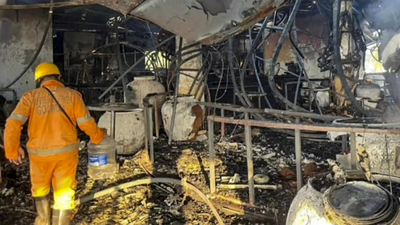 1765146261 untitled design 52.jpg