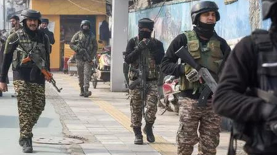 1765220774 unnamed file.jpg