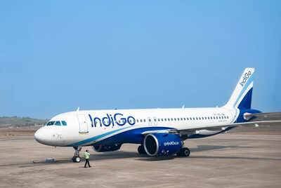 1765350277 indigo.jpg