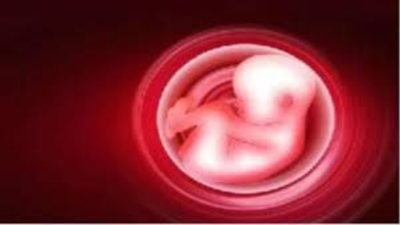 1765395733 unnamed file.jpg