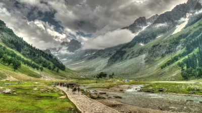 1765396342 unnamed file.jpg