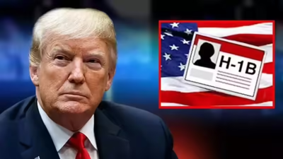 1765644897 untitled design 6.jpg