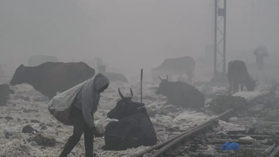 1765783080 representative image.jpg