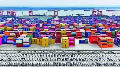 1765988313 unnamed file.jpg