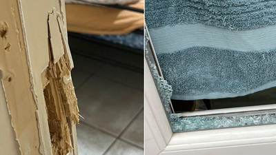 1766101983 unnamed file.jpg