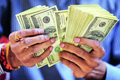 1766107245 unnamed file.jpg