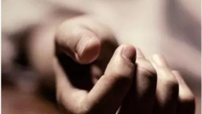 1766195428 unnamed file.jpg