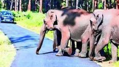 1766254916 unnamed file.jpg