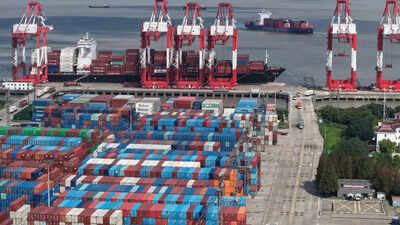 1766269108 unnamed file.jpg