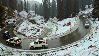 1766346616 unnamed file.jpg