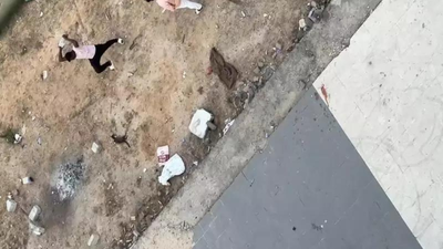 1766446460 unnamed file.jpg