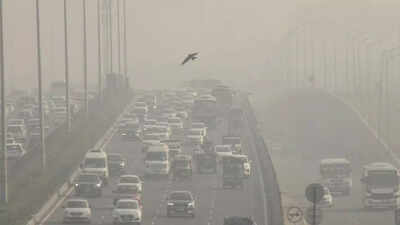 1766452717 delhi pollution.jpg