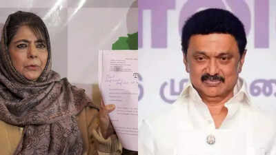 1766763741 untitled design.jpg