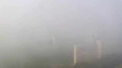 1766803057 unnamed file.jpg