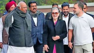 1766866882 untitled design 34.jpg