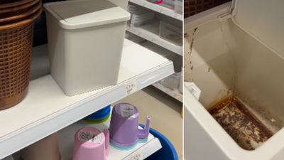 1766985907 unnamed file.jpg