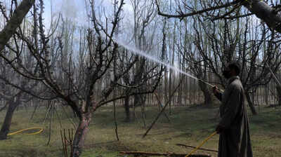 1766988797 unnamed file.jpg