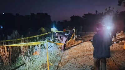 1767174043 unnamed file.jpg