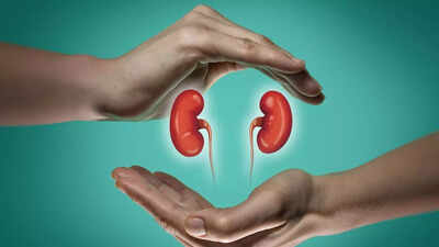 5 daily habits to stop kidney stones from coming back.jpg