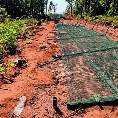 64 poles 150m fencing damaged on manipurs india myanmar border.jpg
