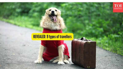 9 types of travellers.jpg