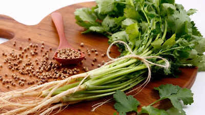 Coriander helps you lose weight know the benefits and how it works.jpg
