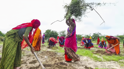 Image 2025 12 24t162455966.jpg