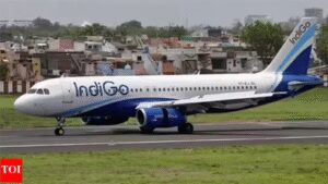 Indigo file photo.jpg