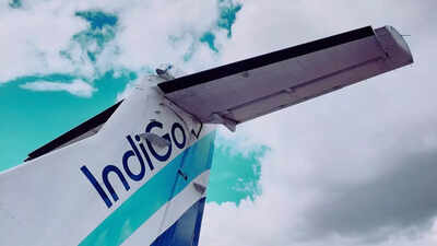 Indigo flight.jpg