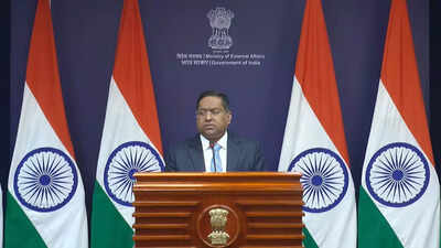 Mea spokesperson.jpg