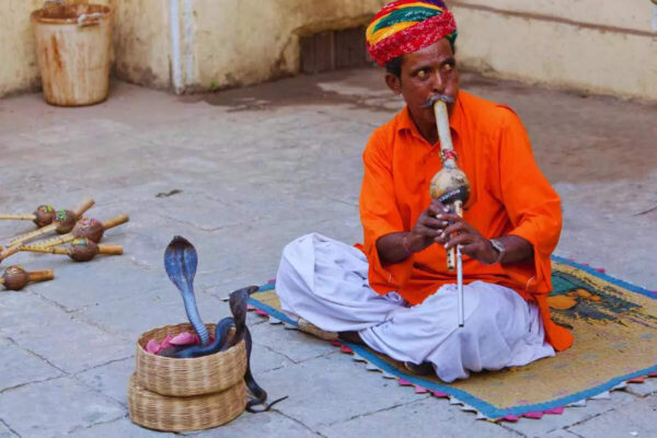 Msid 125765436imgsize 81512.cms .jpeg