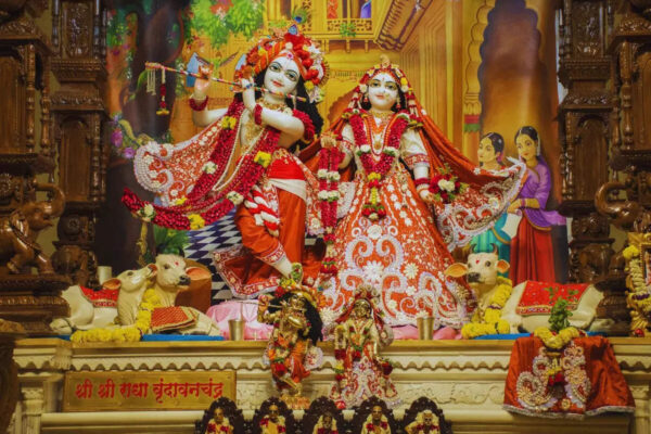 Msid 125779265imgsize 221946.cms .jpeg